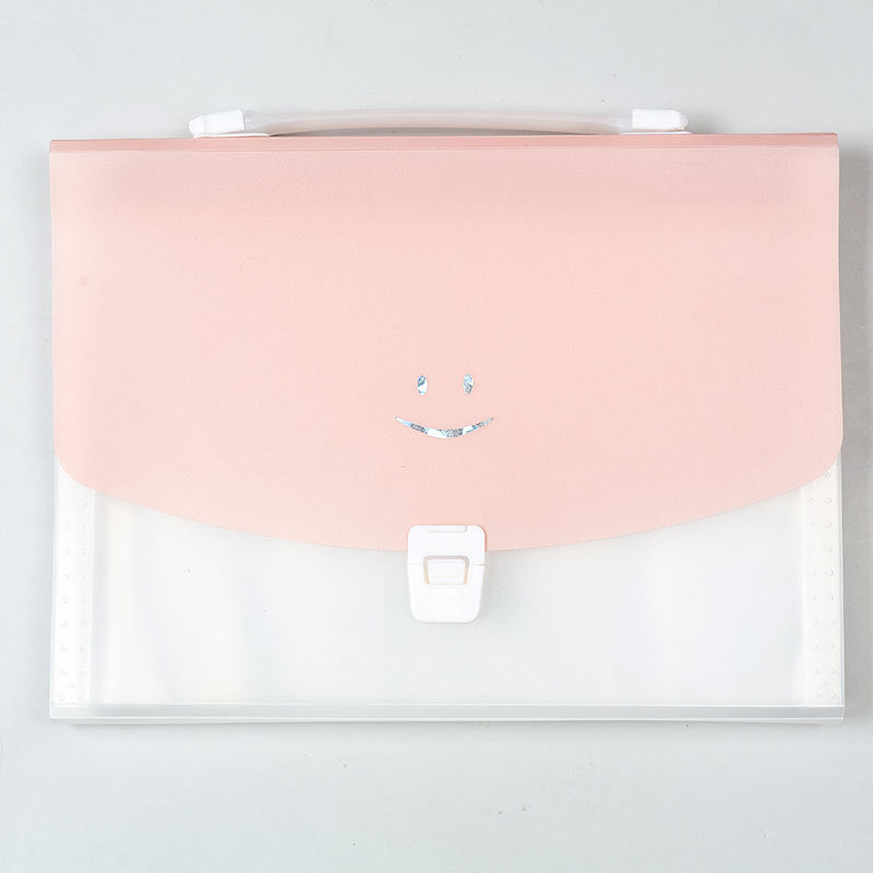 The 13-Pocket Accordion File