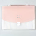 The 13-Pocket Accordion File