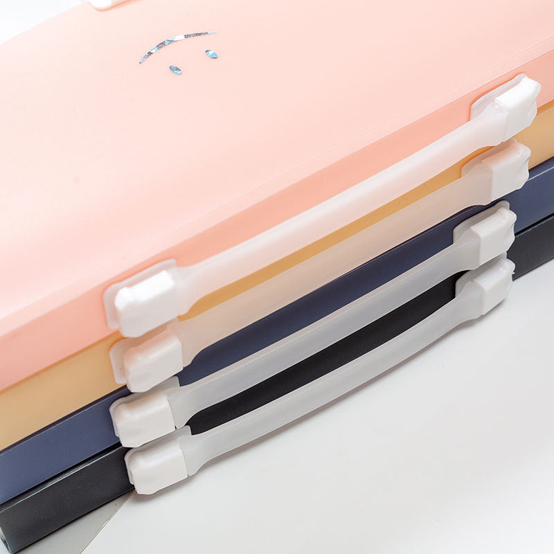 The 13-Pocket Accordion File